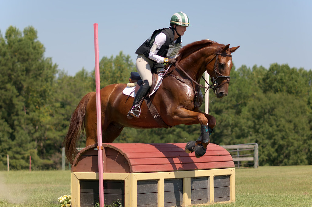 Horse jumping with rider